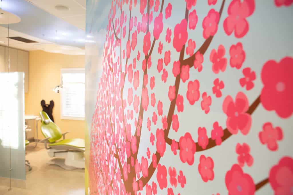 Typical Pediatric Dental Procedures Cleanings Center for Pediatric